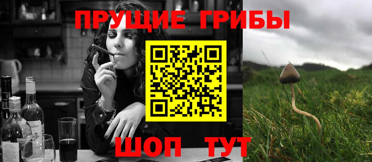 Люберцы  Псилоцибиновые грибы ЛСД  Вход с VPN  Галлюциногенные грибы GOLDEN TEACHER 
